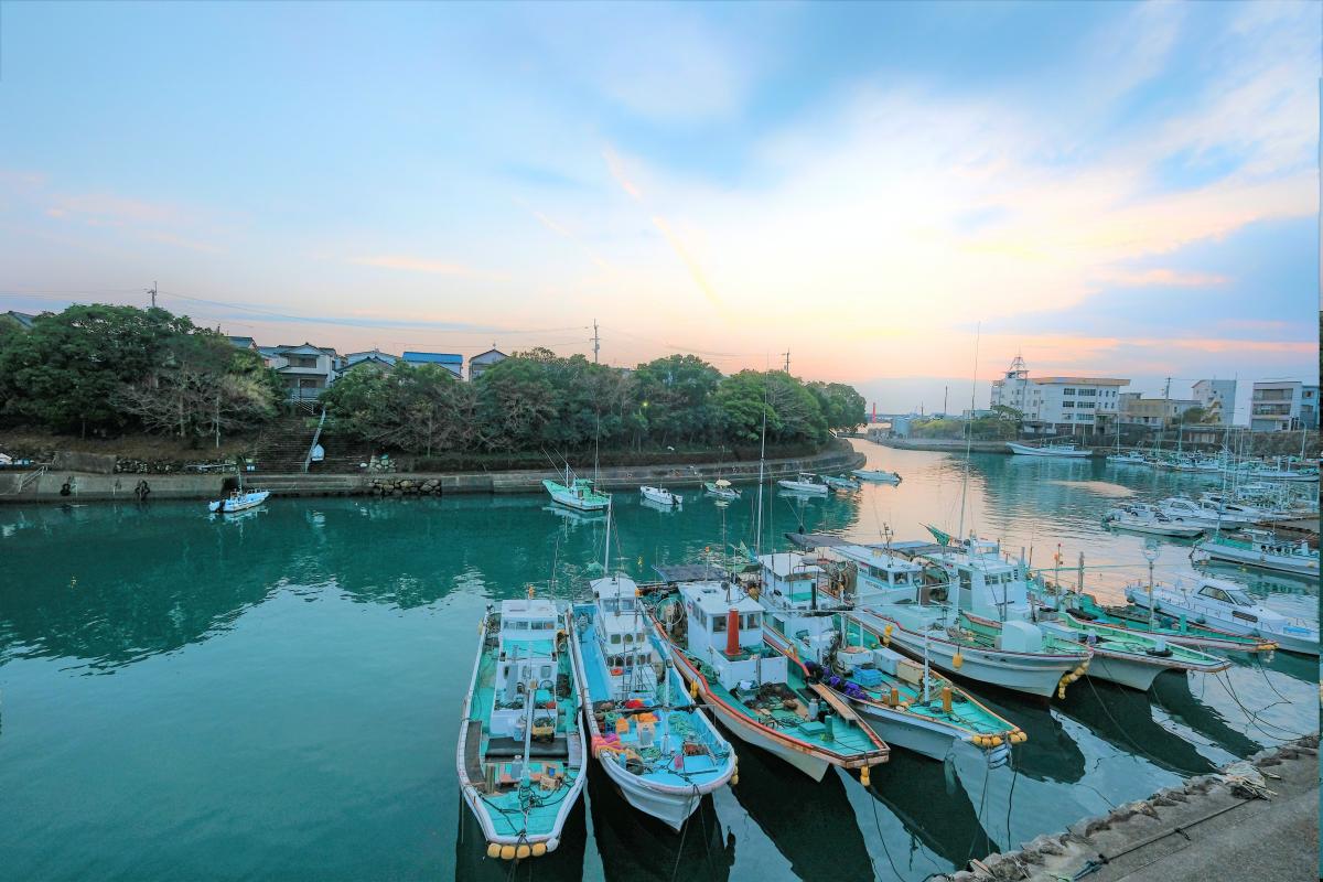 [室戸市]室津港
